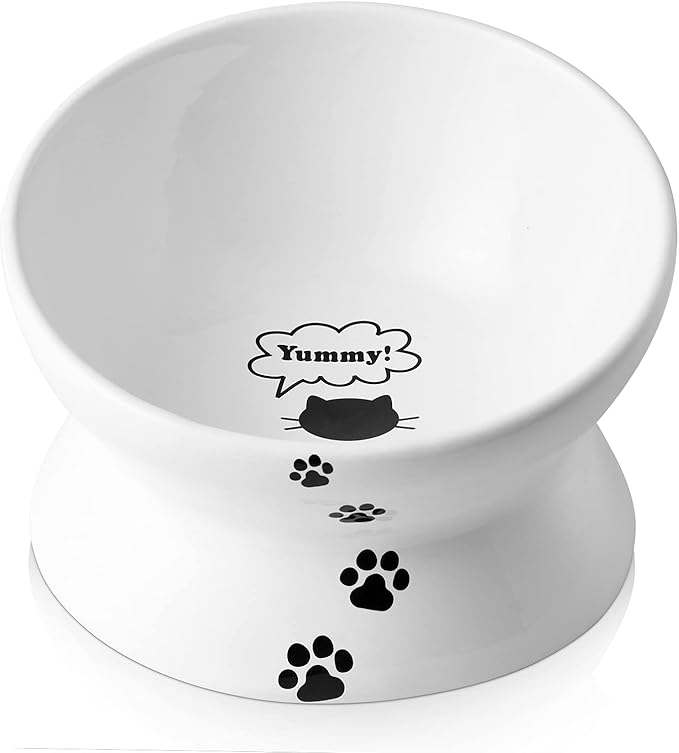 Y YHY Elevated Tilted Cat Bowl, Raised Pet Bowl for Adult Cats or Dogs, Ceramic Food Dish 10 oz, White