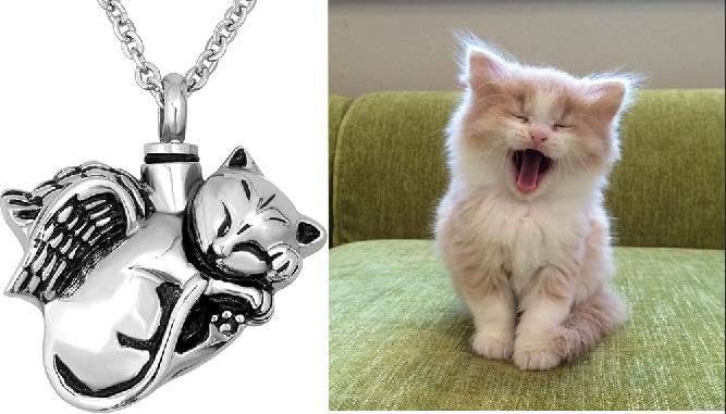 NanMuc Cute Angel Cat Pet Urn Necklace for Ashes Cremation Jewelry Memorial Animal Stainless Steel Pendant Ashes Holder Keepsakes Jewelry