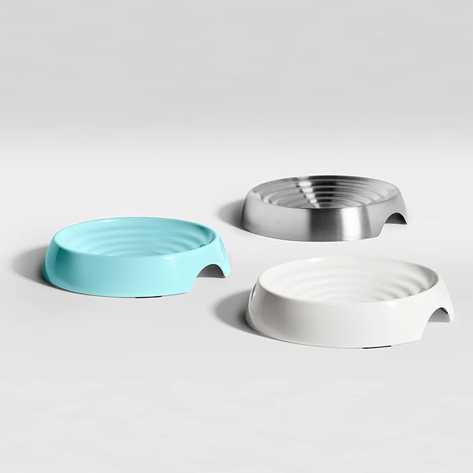 CatGuru Cat Bowls, Whisker Friendly Food Bowl for Indoor Cats, Reliefs Whisker Fatigue, Wide Kitten Dish, Non Slip Pet Dishes, Shallow Pet Plates (Aruba, (Pack of 2))