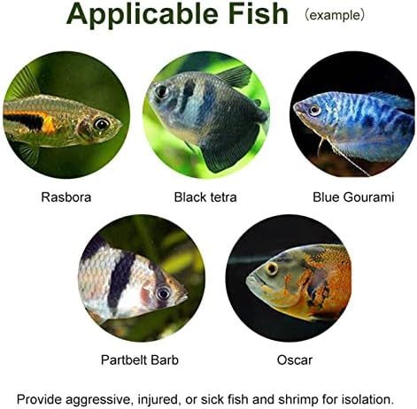Aquarium Breeder Box, Transparent Acrylic Fish Isolation Box Fish Hatchery Incubator Holder for Newborn Fry Shrimp Guppy (30CM*10CM*10CM)