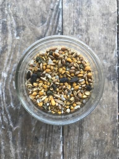 Non-GMO Soy and Corn Free Whole Grain Layer Blend 16% - Chicken Feed for Laying Hens and Ducks - Includes Essential Oils, Herbs, Oyster Shells, Vital Minerals, and Omega 3, 40lb