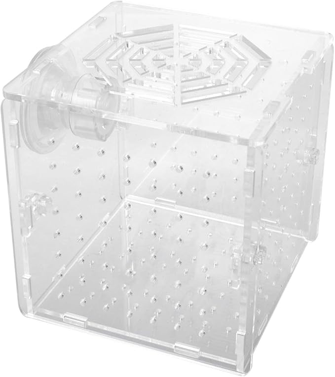 Acrylic Fish Breeding Tank with 2mm Round Hole Suction Cups 10x10x10cm Isolation Box for Aquarium Fish Hatchery and Fry Nursery
