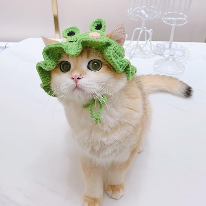 1 PCS Cat Hat Cute Frog Shape Pet Cap Halloween Cat Kitten Halloween Costumes Birthday Hat for Christmas Birthday(M)