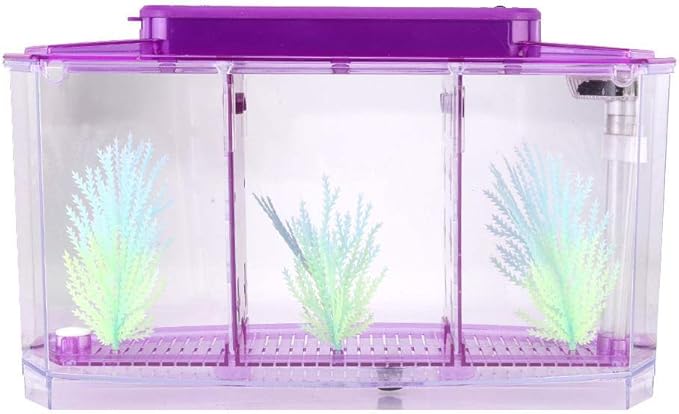 Three Areas Acrylic Small Aquarium, Mini Fish Tank, for Betta for Small Fishes(Purple)