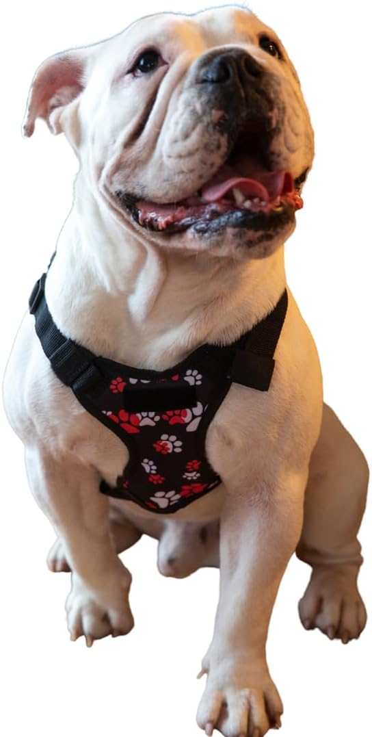 Pawlook Dog Backpack Harness – Street Smart | Waterproof, Adjustable, Breathable – Leash Attachment D-Rings, Poop Bag Pocket – Small & Medium Dogs – 8 Styles Paws Up Small