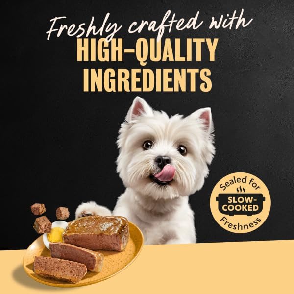 Cesar Wet Dog Food Home Delights & Classic Loaf in Sauce, Breakfast & Dinner Variety Pack, 3.5 oz. Trays, 24 Count (Pack of 1)