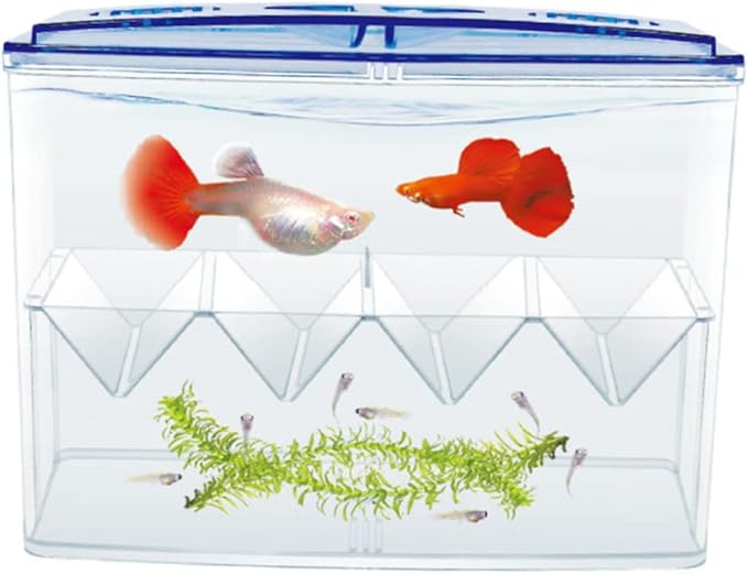 BESPORTBLE 1pc Self-Floating Fish Hatching Box Shaped Partition for Safe Fish Breeding Isolation Tank for Small Reproduction High Transparency and Air Circulation