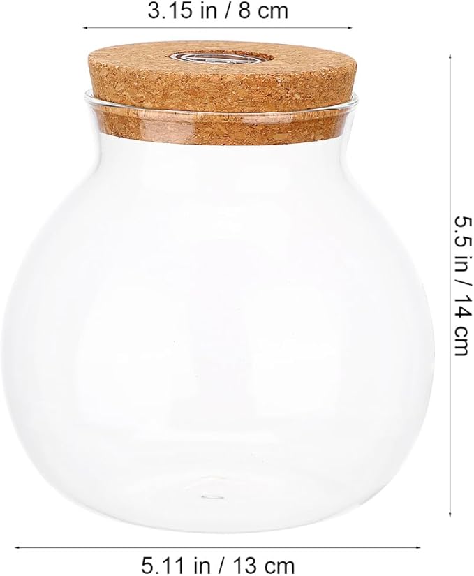 Ecological Bottle with Led Light 5.51In Transparent Glass Fish Tank Micro Landscape Aquarium Desktop Aquatic for Home Decor