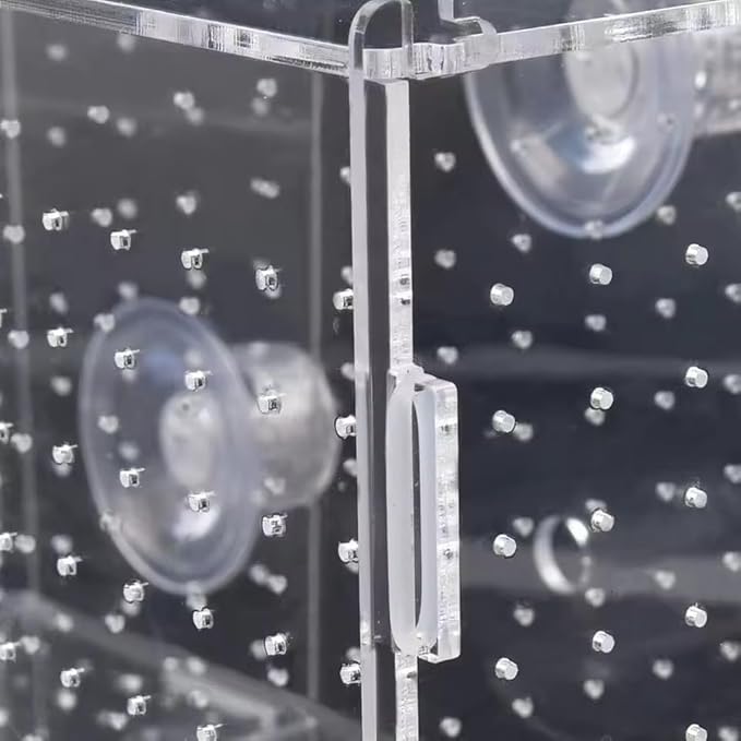 Aquarium Isolation Box Transparent Acrylic Fish Tank Small Fry Breeding Box Single Grid Double Grid Aquarium Supplies