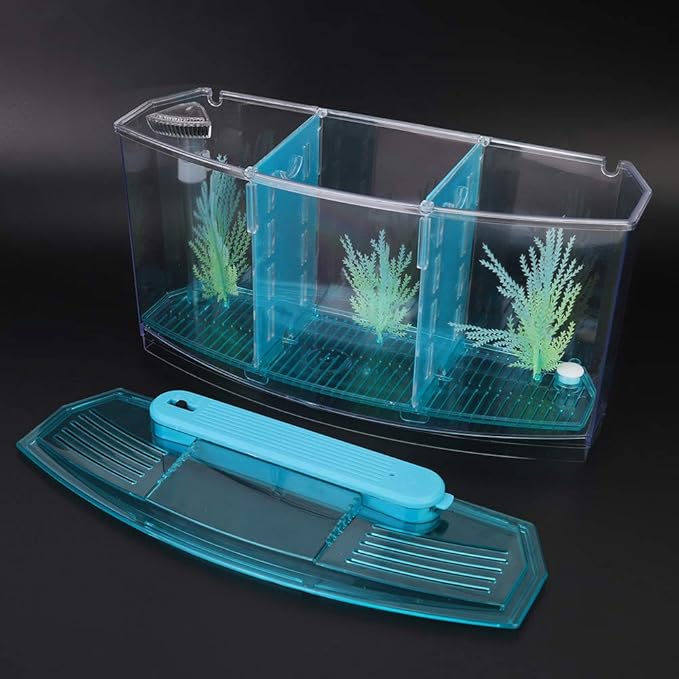 Aquarium Isolation Box Acrylic Breeding Hatchery Small Fishes Incubator Mini Fish Tank LED Acrylic Three Divisions Breeding Isolation Box for Small Fishes(Blue)