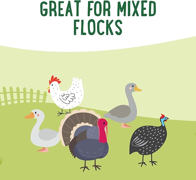 Manna Pro Farmhouse Favorites Forage Clusters for Chickens and Turkeys, Approx. 22 High-Protein Clusters with Black Soldier Fly Larvae, Carrots, Oats & Sunflower Kernels, Nutritious Poultry, 14oz
