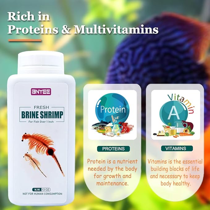 Fresh Brine Shrimp Fish Food - Adult Non-Living Shrimp for Fish Over 1 Inch