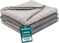 FurHaven Dog Bed Cover Replacement, Sofa-Style Design with Soft, Breathable Fabric for Cozy Comfort, Machine Washable, Large, Plush & Velvet, Granite Gray