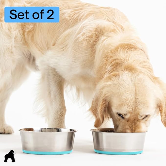 GORILLA GRIP Dog Bowls, Holds 4 Cups Each (32 fl oz), Heavy Duty Stainless Steel Food and Water Bowl for Feeding Dogs and Cats, Dishwasher Safe, Rust Resistant, BPA Free Rubber Base Set of 2 Turquoise