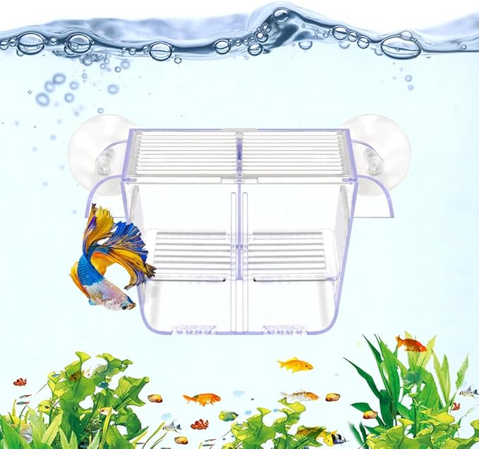 Fish Breeding Box Aquarium Holding Tank Transparent Fish Isolation Box Acclimation Hatchery Incubator Breeder for Betta Shrimp Clownfish Guppy(Size S)
