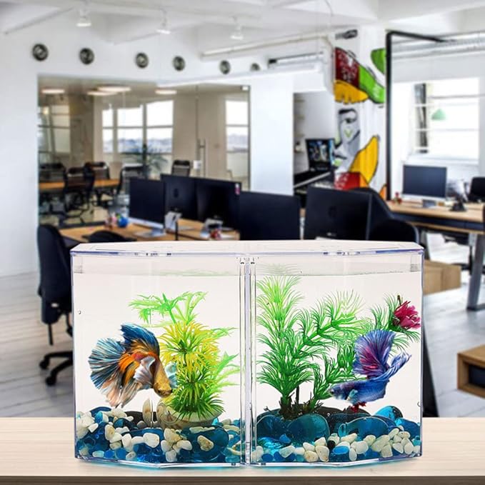Acrylic Fish Tank Isolation Box with Two Compartments 7.87X4.72X4.33 Inch Clear Octagonal Breeding Tank for Betta and Small Tropical Fish Home Aquarium
