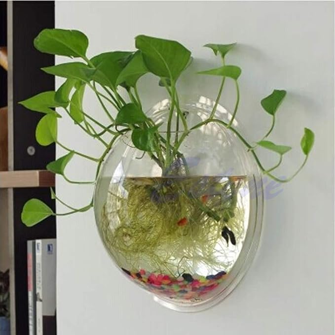 Pot Wall Hanging Mount Bubble Aquarium Bowl Fish for Tank Aquarium Home Decorati Aquariums Tanks 100 Gallons, Transparent