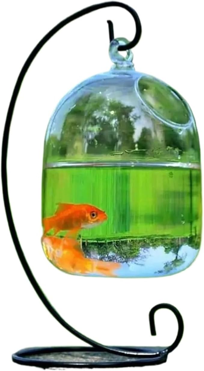 Transparent Hanging Glass Aquarium Fish Tank Bowl - Stylish Round/Rectangle Shape with Rack Holder for Home Decoration(Black-01)