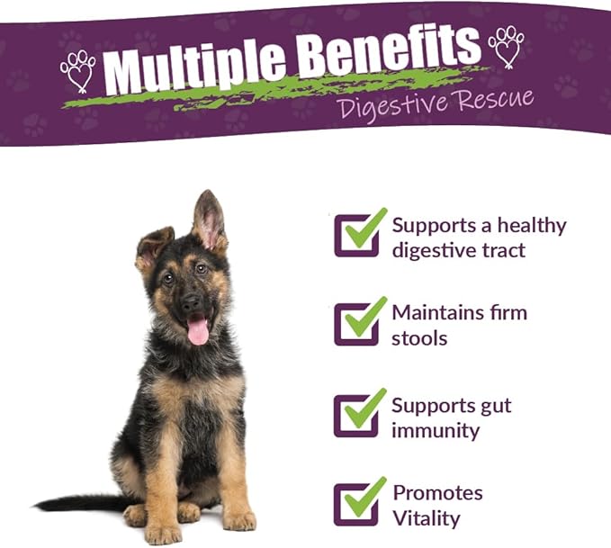 Amber NaturalZ Paxaid Digestive Rescue for Dogs and Puppies | Supports Normal Appetite, Gut Function, and Stool Consistency During Occasional Gastric Discomfort and Dietary Changes 1 Fluid Ounce