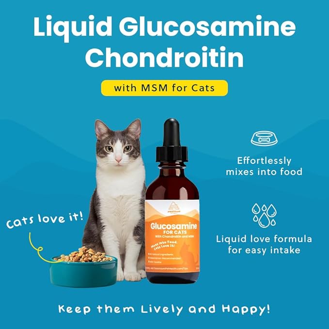 Paramount Pet Health Liquid Glucosamine Chondroitin MSM for Cats, Hip & Joint Support Supplement, Helps Maintain Mobility and Flexibility, Senior Cat Glucosamine Drops for Daily Joint Care, 2 oz