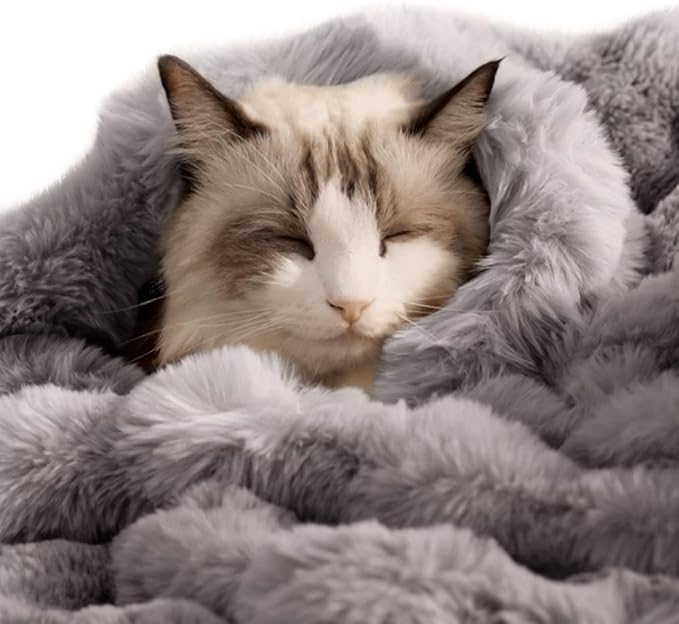 Self-Warming Cat Blanket, Dual-Side Plush Sherpa Throw with Anti-Static, Snuggle Mat for Kittens & Cats, Cozy Bed Topper for Windowsills & Couches, Machine Washable & Dryable, 21x18 Inch Gray