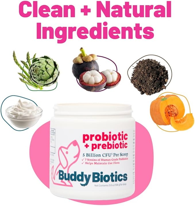 Probiotic + Prebiotic Powder for Dogs – 7 Probiotic Strains with Prebiotic FOS, Supports Gut Flora, Digestive & Immune Health, 5 Billion CFU per Scoop