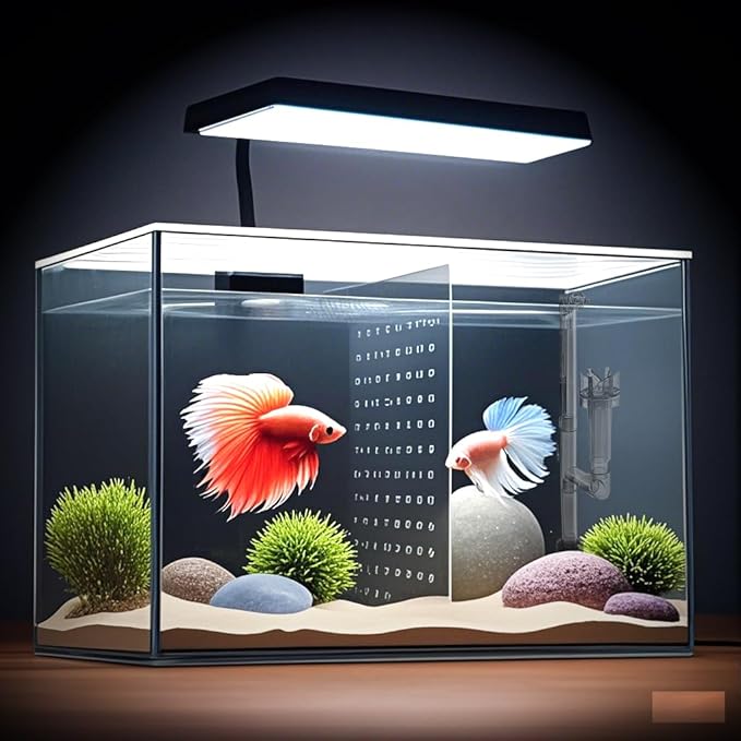3 Gallon 12.6” L Fish Nano Glass Aquarium, with Separator Plate for Betta, Multi-Functional Square Fish Tank with Filter, LED Light, Black 4mm Glass