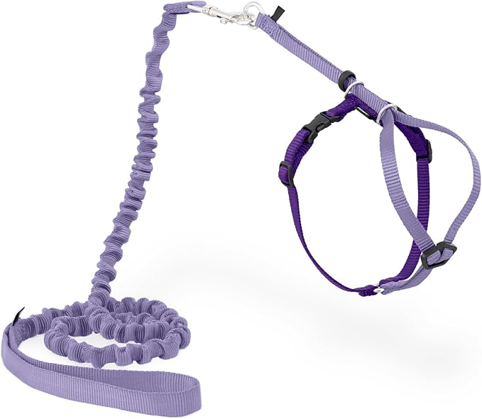 PetSafe Come With Me Kitty Cat Harness & Bungee Leash - Comfortable Cat Harness with Lightweight Bungee Leash for Outdoor Fun - More Secure Walks - Medium - Lilac