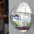 Fish Tabk Wall Mounted Fish Tank Acrylic Wall Mounted Plant Fish Tank Decorative Planter Glass Bowl Fish Tank Kit Cool Fish Tank