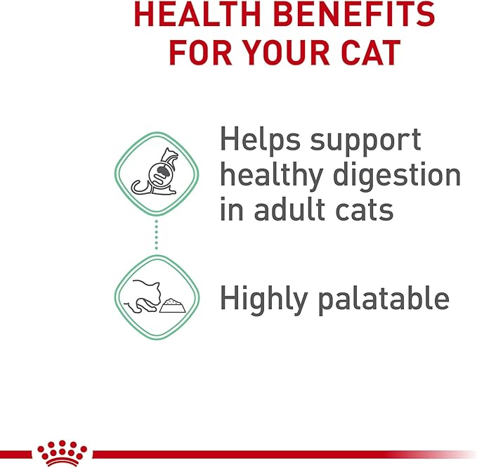 Royal Canin Feline Care Nutrition Digestive Care Adult Loaf in Sauce Cat Food, 5.1 oz (Pack of 24)