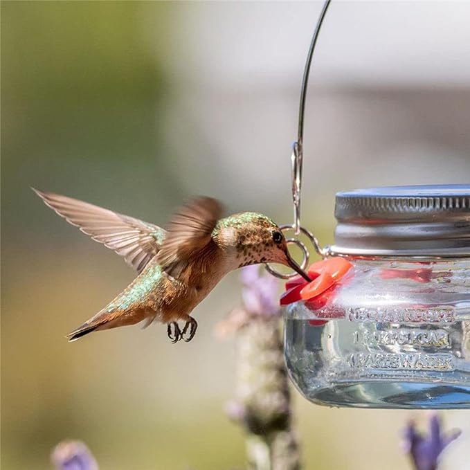 Hanging Bird Feeder for Wild Birds Flower Outlet Feeder Outside Water Bottle Birds Watering Supplies Feeders for Outdoors Feeders for Outdoors Metal