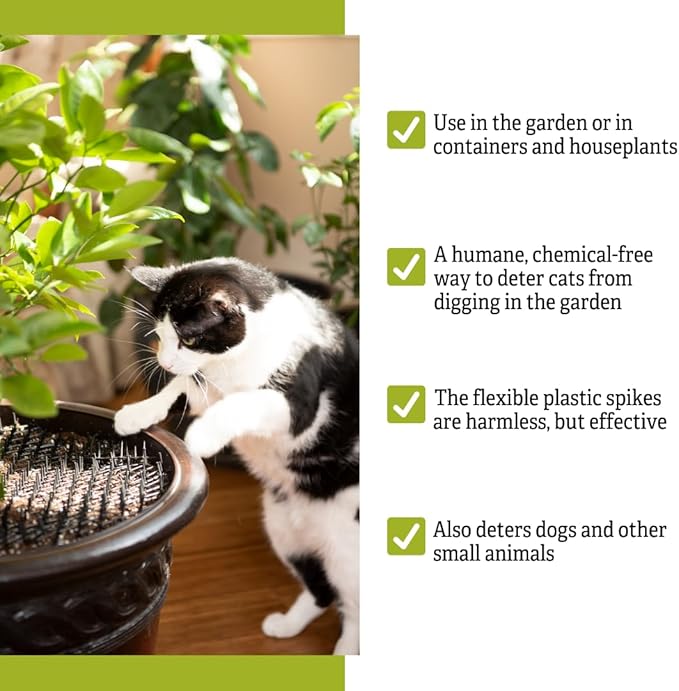 Gardener's Supply Company Cat Scat Mat | Harmless & Non-Toxic Animal Deterrer for Indoor Outdoor Garden & Plant Protection | 6.5 Feet Long - Easy to Cut to Size - Black