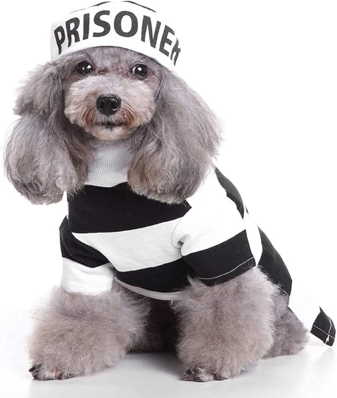 Halloween Fancy Prisoners Dogs Cats Warm Costumes with Hat for Teddy, Pug, Chihuahua, Shih Tzu, Yorkshire Terriers, Papillon D-Black/White S