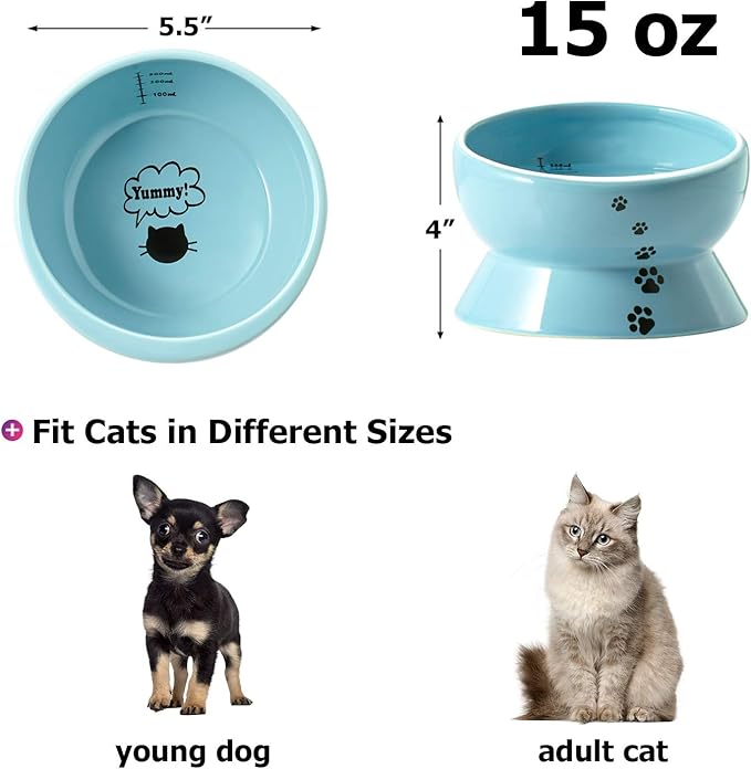Y YHY Ceramic 15 Ounce Slanted Cat Food Water Bowl, Lake Blue