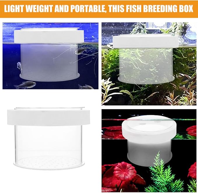 VANZACK Acrylic Fish Breeding -Sized Isolation Tank for Fry Acrylic Separator for Aquarium Fish Breeder Improved Survival Rate