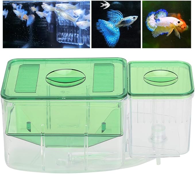 Fish Breeding Box, Transparent Isolation Box Acclimation Hatchery Incubator for Baby Fish Betta Shrimp Clownfish and Guppy