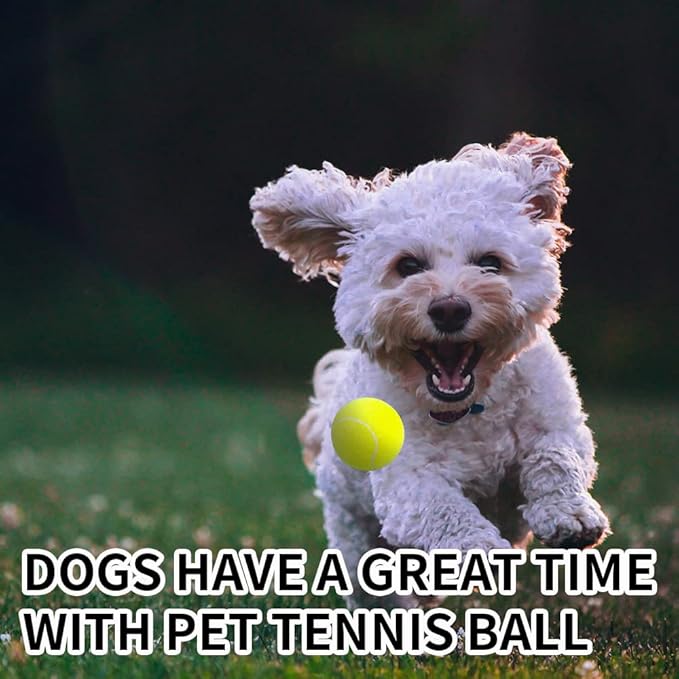 ptlsy Dog Tennis Balls 16 Pack Pet Mini Tennis Ball for Small Medium Dogs Fetching (2 inch)