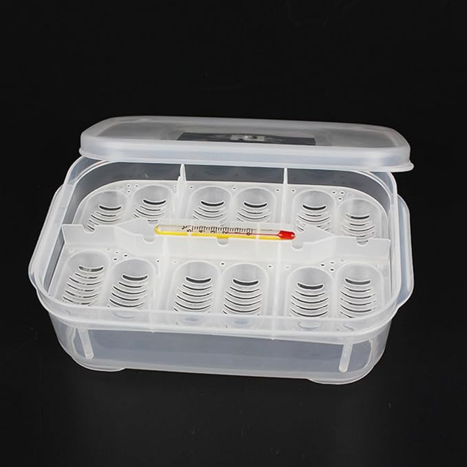 Angoily 2pcs Box Aquarium Breeder Box Incubator for Snakes Lizards Egg Tray Easy to Clean Random Color