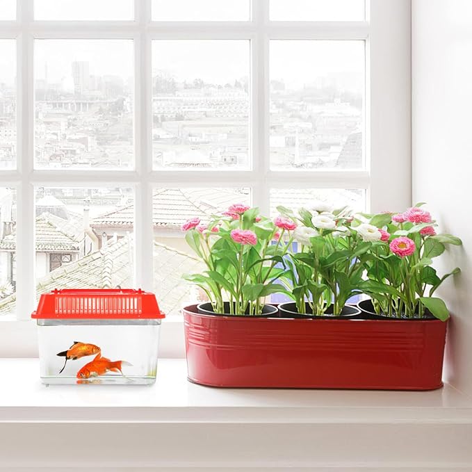 Mini Fish Tank Portable Plastic Aquarium with Lid Handheld Clear Fish Bowl for Goldfish Turtle Small Aquatic Pets Easy to Clean and Carry
