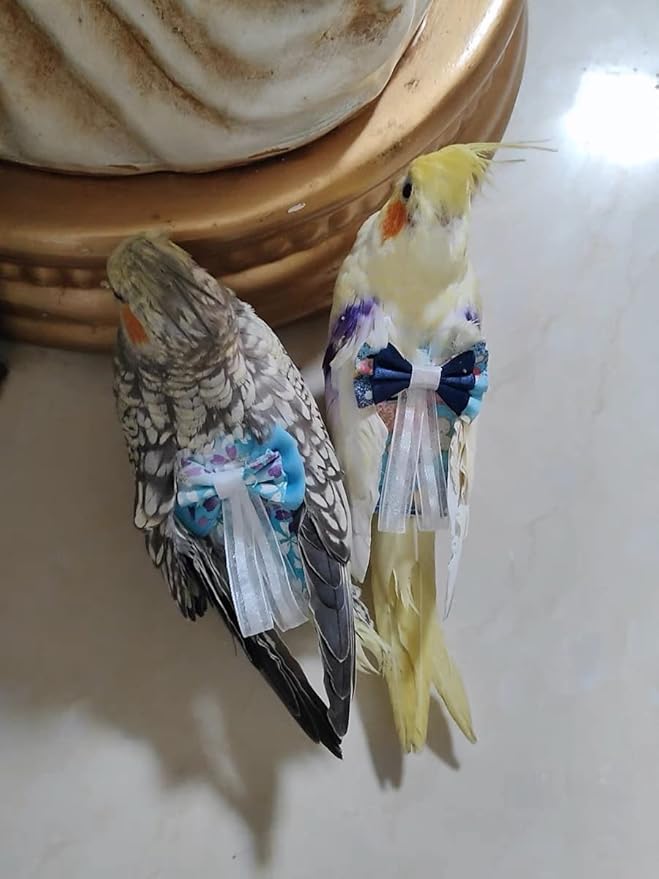 Bird Flight Suits Diapers, Parrot Diapers for Monk Parakeets, Cockatiels, Parrot Clothes Costume, Bird Training Nappy Suit Liners Clothes (Small,Blue-A)
