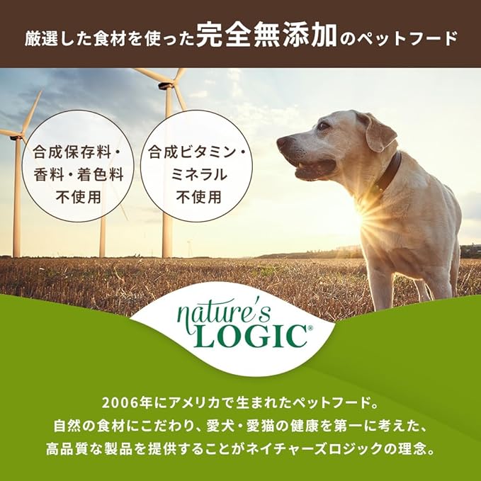 Nature's Logic Dry Dog Food - 100% Natural - No Synthetics - For All Ages, Sizes, Breeds - Free From Common Allergens, High Protein - Beef Meal Feast, 4.4lbs