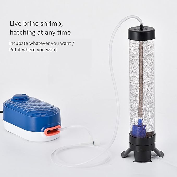 Artemia Eggs Hatchery Kit, Plastic Shrimp Eggs Hatchery Incubator for Aquarium for Fish