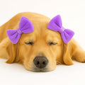 3-Pack Double Bow Dog Headbands – Dog Hairbows with Double Band, Adjustable Pet Hair Accessories for Small & Medium Dogs, Cute Hair Bows for Daily Wear & Special Occasions