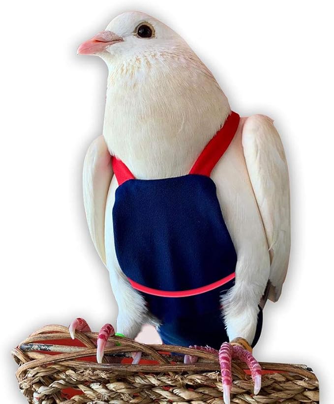 Bev's Bird Boutique Regular Flyper Adjustable Bird Diaper | Reusable, Washable Cloth | Comfort Fit for Parrot, Cockatiels, & Other Small Birds | Fashionable Avian Accessories, Navy & Red, Size 8.5
