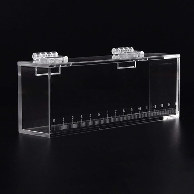 Fish Watching Case - Acrylic Hatchery Incubator & Observation Box for Small Fish Breeding Tanks, Photo Box, L