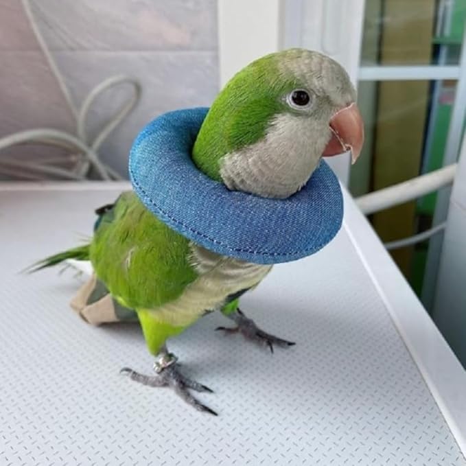 Parrot Neck Collar Pet Anti-bite Picking Feather Healing Protective Neck Cover Collar for Birds Conures Cockatiels Lovebirds Budgies Cockatoos African Grey Random Color (L)