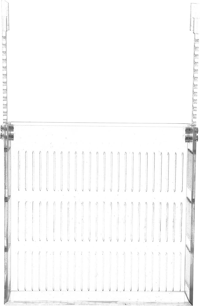 Guppy Breeding Box Aquarium Nursery Incubator Acrylic Hanging Fish Isolation Box with Suction Cups Medium Size for Betta and Shrimp Hatchery