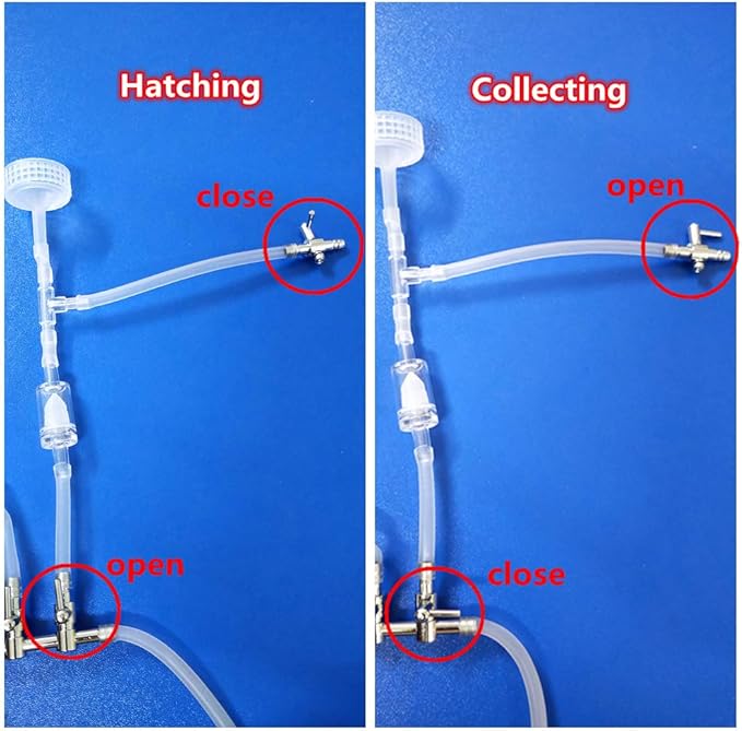 Simple 3-Way Soda Bottles Brine Shrimp Hatchery Kit Artemia Hatching Tools