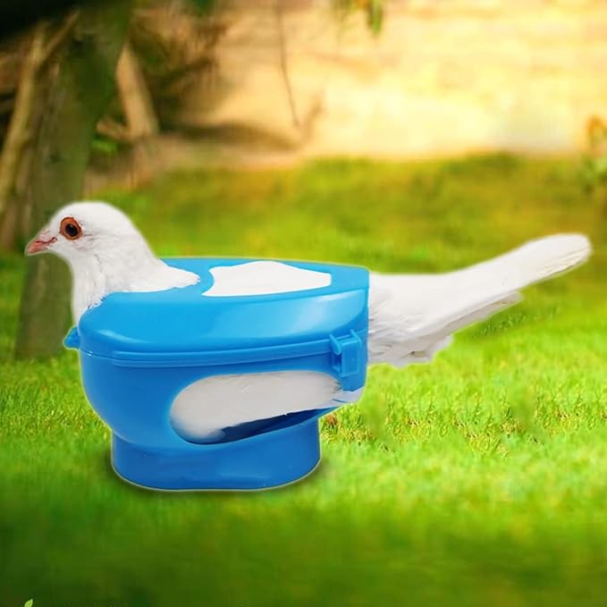 Pigeon Holder, Pigeon Supplies Bird Fixed Frame Rack Plastic Pigeon Fixers Pigeon Injection Holder for Feeding Bird Supplies Chick for Injection Feeding Fixed Mount Feeding Syringe for Young Birds