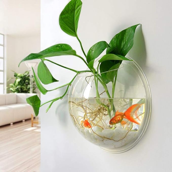 Alipis Wall Mounted Acrylic Fish Tank 6 Inch Hanging Fish Bowl Transparent Aquarium for Home Decor Living Room Plant Terrarium Style